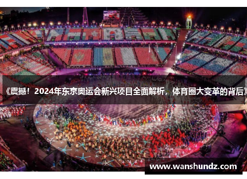 《震撼！2024年东京奥运会新兴项目全面解析，体育圈大变革的背后》