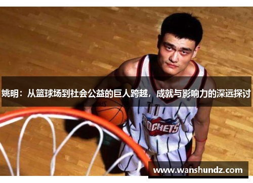 姚明：从篮球场到社会公益的巨人跨越，成就与影响力的深远探讨
