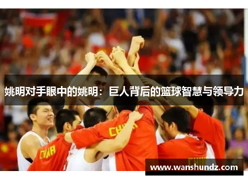 姚明对手眼中的姚明：巨人背后的篮球智慧与领导力