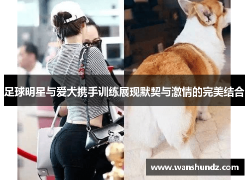 足球明星与爱犬携手训练展现默契与激情的完美结合