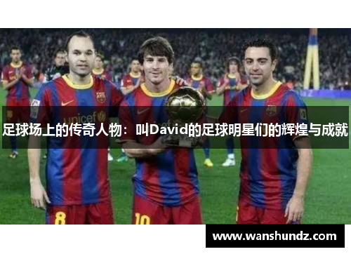 足球场上的传奇人物：叫David的足球明星们的辉煌与成就