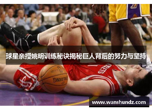 球星亲授姚明训练秘诀揭秘巨人背后的努力与坚持