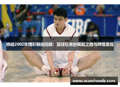 姚明2002年精彩瞬间回顾：篮球巨星的崛起之路与辉煌表现